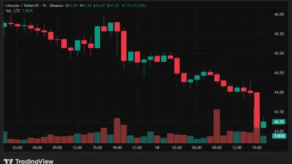  Lite Strategy backs Litecoin Layer-2 bet with $1M investment 
