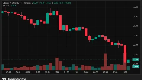 Lite Strategy backs Litecoin Layer-2 bet with $1M investment