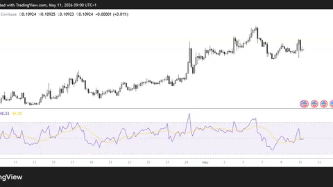 DOGE risks losing key $0.10 level despite strong retail interest