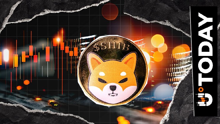 Shiba Inu Invalidates Key Price Level at 213 Billion SHIB: Potential for Deeper Dive image 1