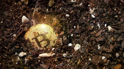 Đáy Bitcoin đang ở đâu? Chuyên gia chỉ ra thời điểm và vùng giá có thể chấm dứt đợt giảm