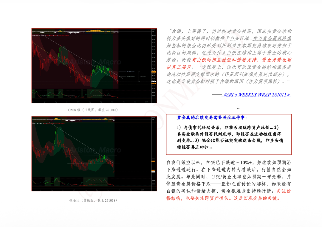 News Image 6