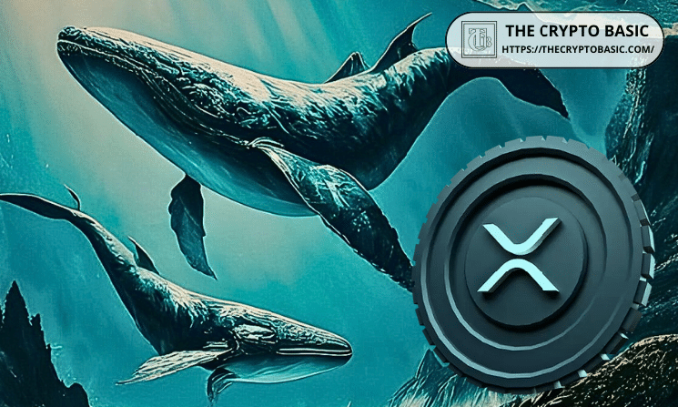 XRP Whale Transactions Worth $1M+ Crash 57% in 9 Days image 1