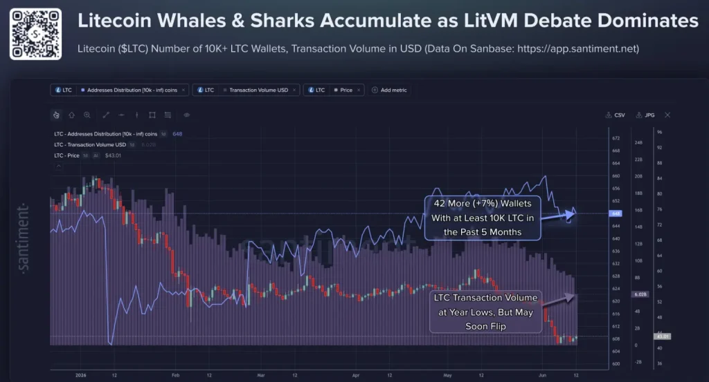 Litecoin Whales Are Buying the Dip — Can LTC Price Reclaim $60? image 0