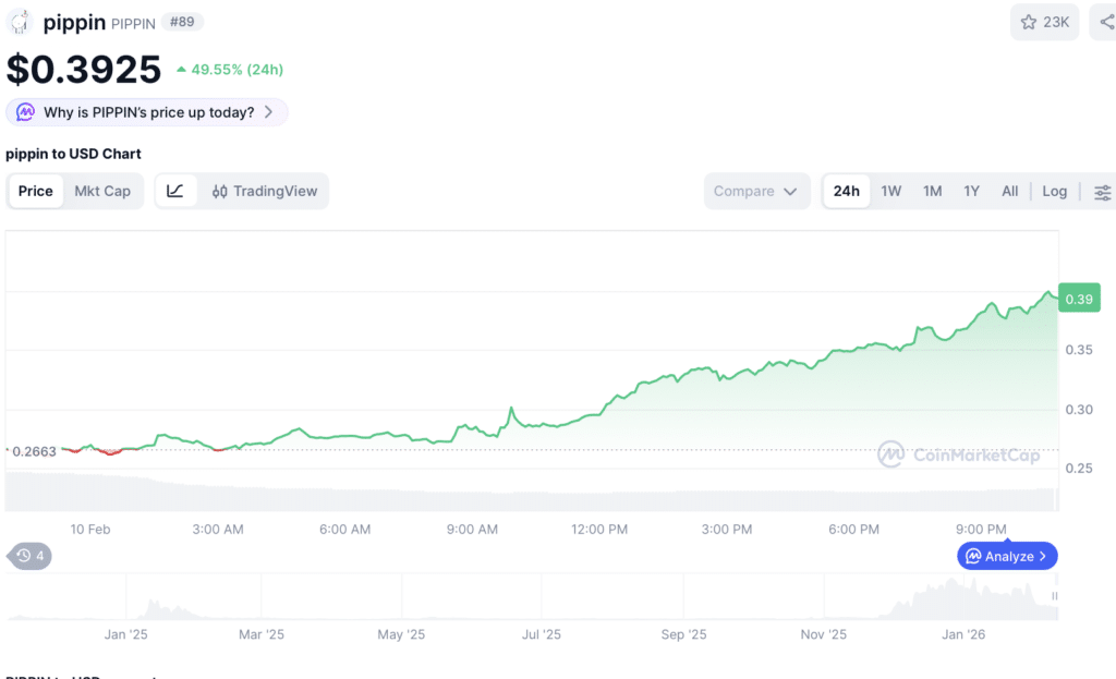 PIPPIN Prognose: +50 % – der Memecoin-Hype erklärt image 0