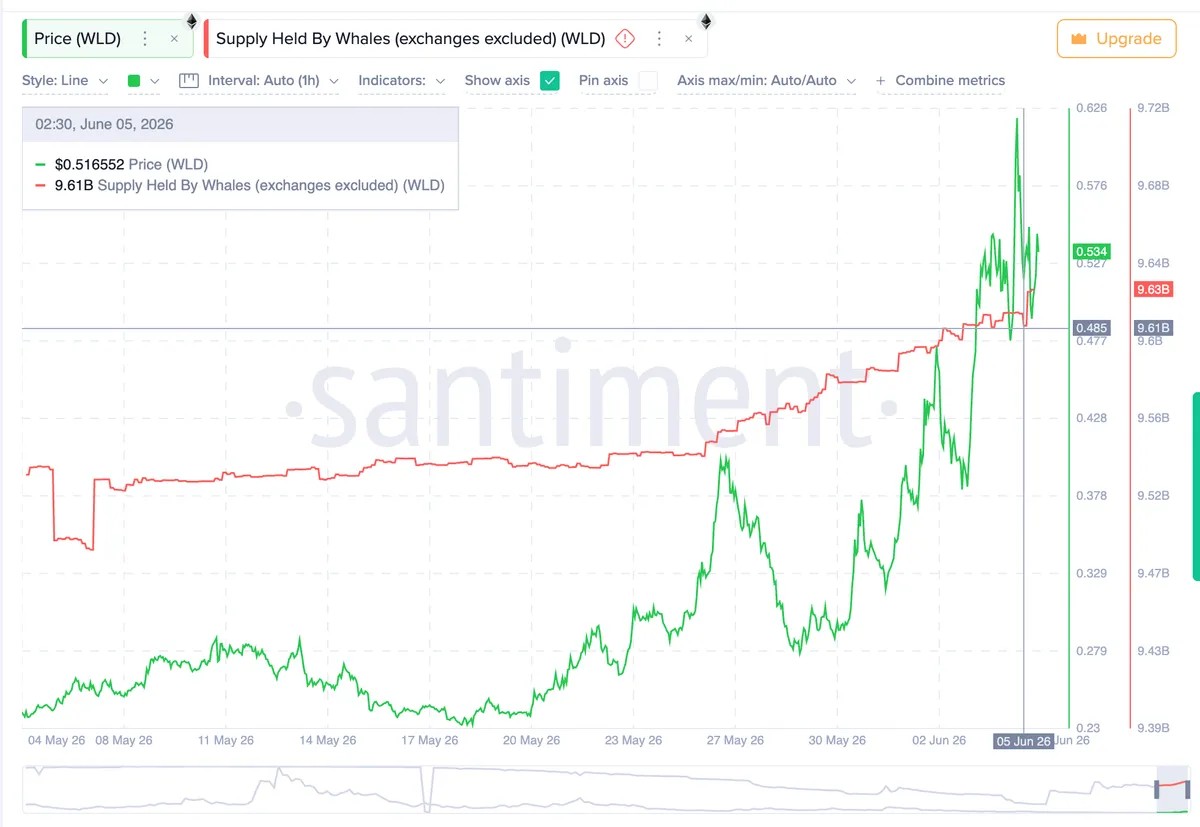 Arthur Hayes Still Holds Worldcoin After the Market Crash: Will He Sell?