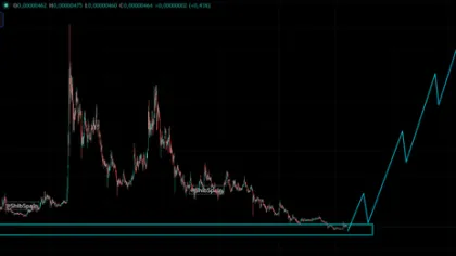 SHIB Market Outlook Support Tests Bulls