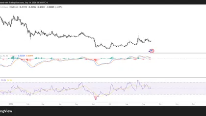 Cardano holds $0.20 support as bearish derivatives signals limit recovery