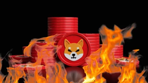 Cá voi Shiba Inu từ giai đoạn đầu bắt đầu bán ra, nắm giữ lượng SHIB khổng lồ khiến thị trường chú ý