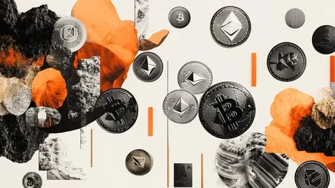 Crypto Overview: Bitcoin flashes further downside below $80,000 – Terra Classic and Toncoin lead decline