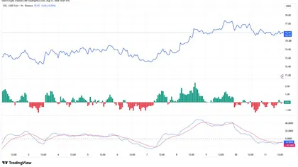 Solana Bulls Set Eyes On $100 Price Ahead Of CPI Data