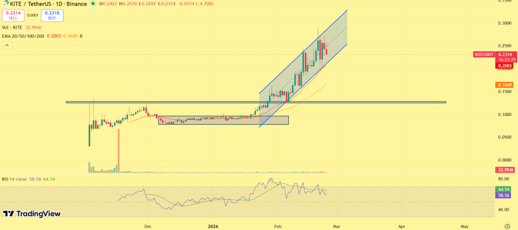  Best Crypto to Buy Now as Market Crashes: These 3 Tokens Stand Out