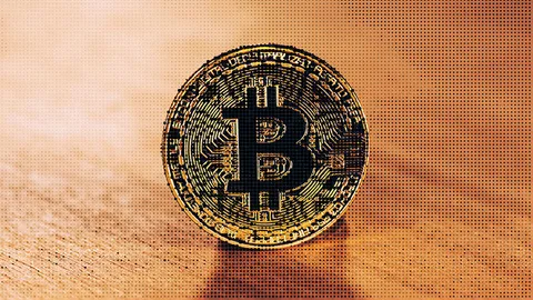 Trump Gains Support by Backing Cryptocurrencies