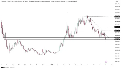 Cash Cat drops 15% – Can the memecoin’s $0.087 support survive?