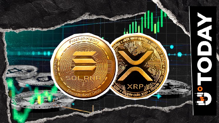 XRP and Solana ETFs Destroy Ethereum and Bitcoin as Institutional Exposure Pivots image 1