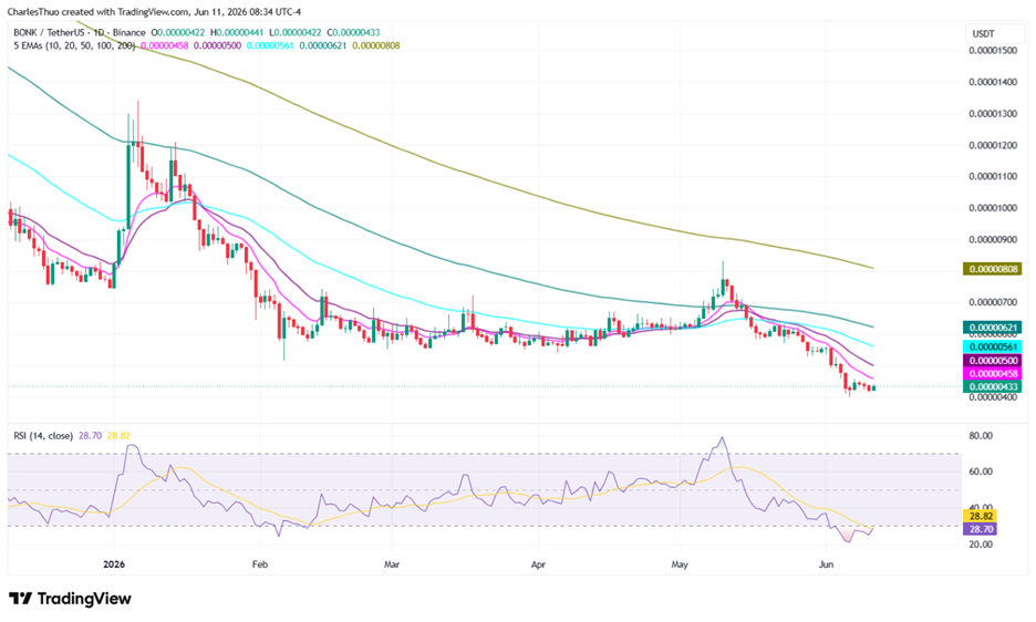 BONK coin price analysis: The $0.0000040 level that could change everything image 2
