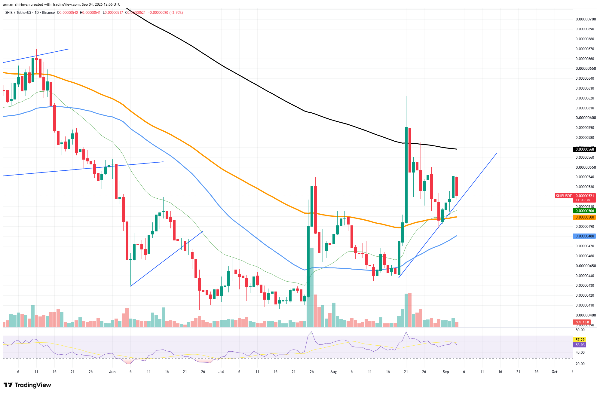 +103% in Shiba Inu (SHIB) Most Crucial Metric in 24 Hours: Can It Save the Day?