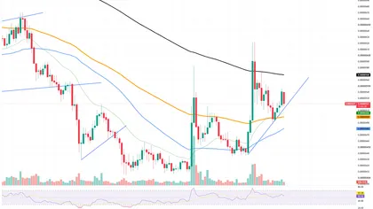 +103% in Shiba Inu (SHIB) Most Crucial Metric in 24 Hours: Can It Save the Day?