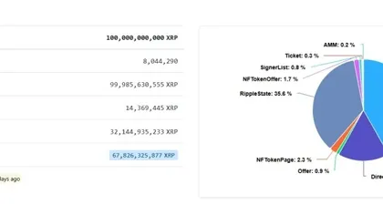 外媒報導:XRP帳戶突破800萬後,前1%門檻降至44771枚