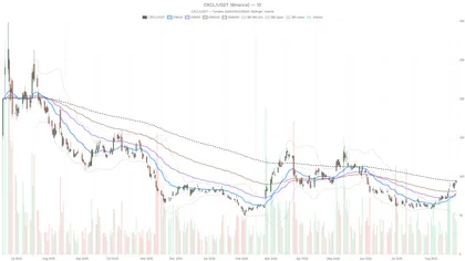Circle Stock Nears Key Resistance at $94.57 as RSI Signals Overbought