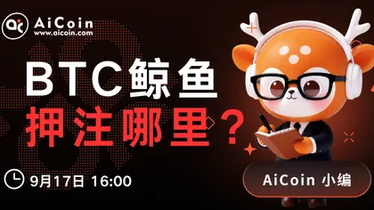 下午4点,AiCoin小编直播:BTC鲸鱼押注哪里?(送Pro会员)