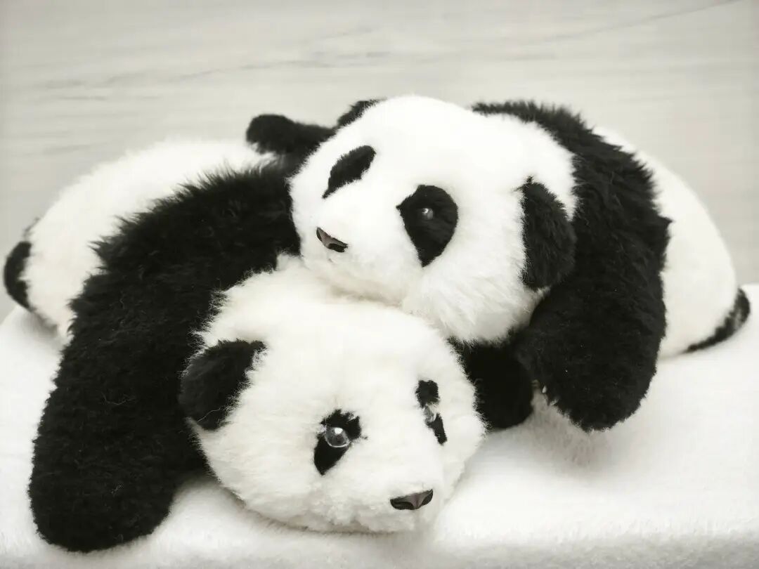 在 CES 上，AI 硬件已经照进现实，无论你接不接受｜CES2026 image 29