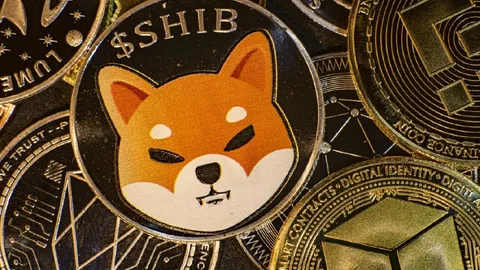 Did Shiba Inu (SHIB) Form Bounce Candle? Analyzing Reversal Possibilities