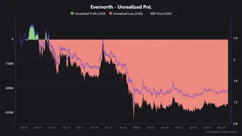 Evernorth Now Seeing $490M in Paper Losses on Its XRP Holdings