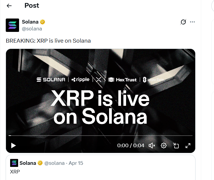 أخبار سولانا XRP يبدأ البث المباشر على سولانا حيث يثير إطلاق wXRP ضجة في السوق
