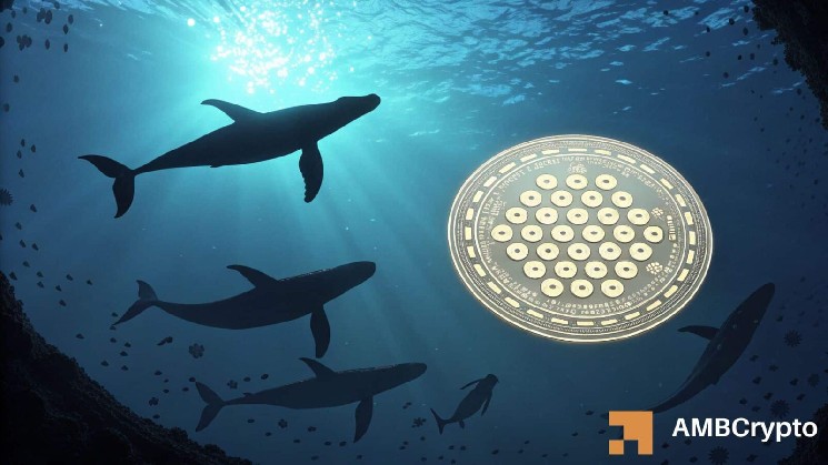 Cardano consolidates as whales accumulate 10 mln ADA: Is an upside coming? image 1