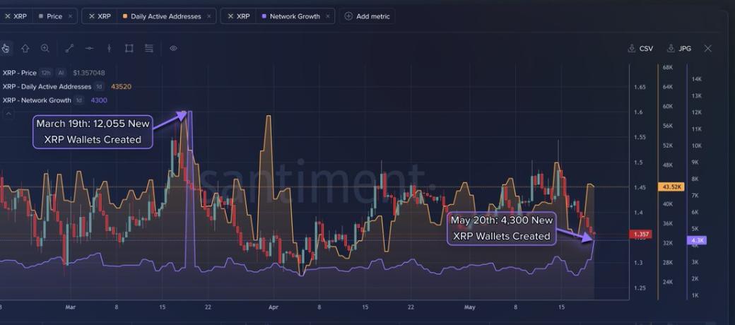 XRP adds 4,300 new wallets in 24 hours, but why is price stuck? image 0