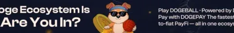 Missed Pepe? DOGEBALL Could Be The Best Crypto To Buy Now Before Stage 2 Ends Today