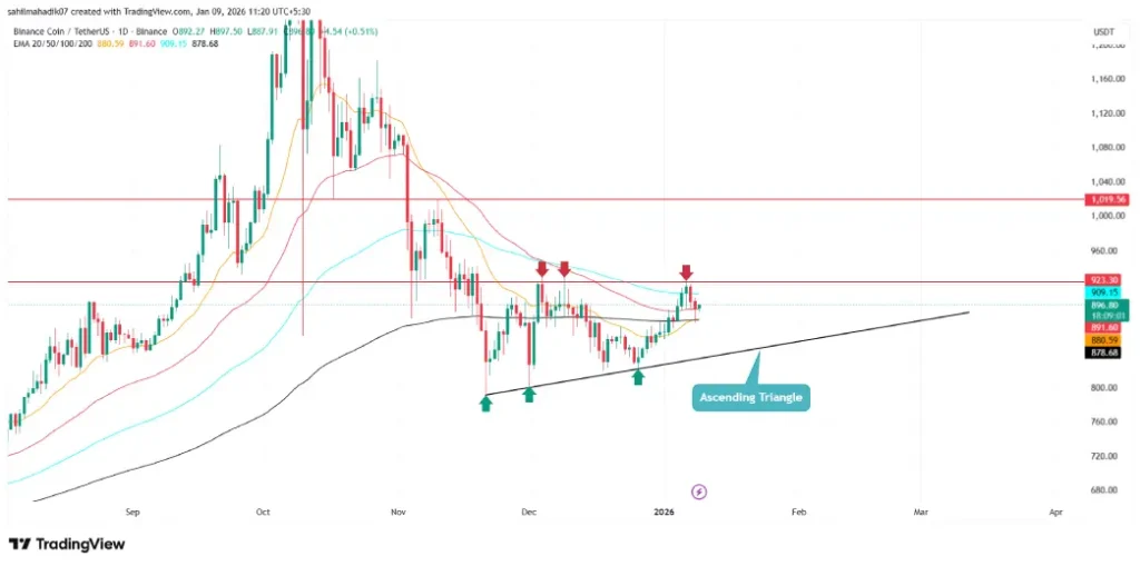 Derivatives Strength Offsets BNB Price Pullback Amid Market Volatility image 2