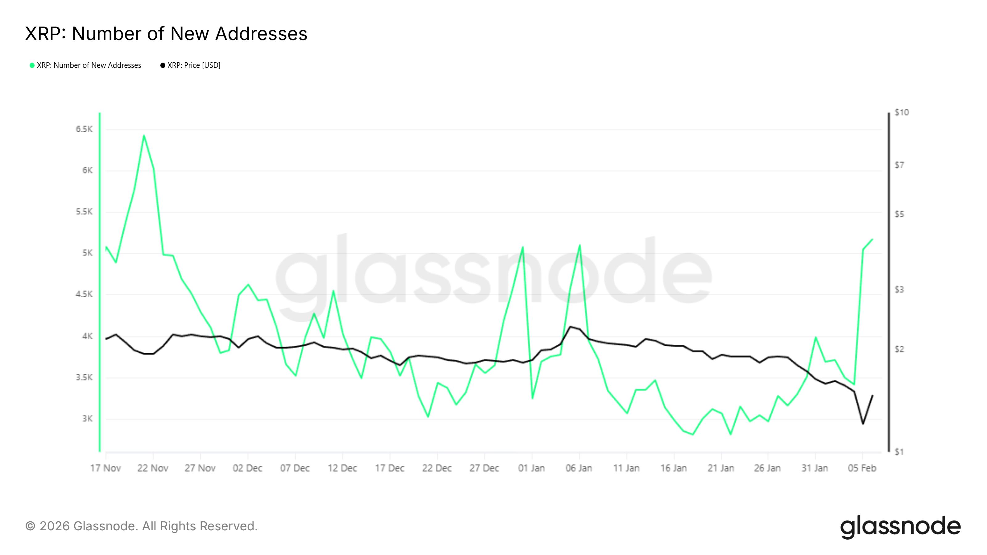 XRP Price Jumps Nearly 20% As Whales Buy Aggressively image 3