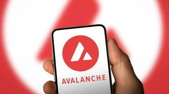 Фонд Avalanche нацелен на привлечение $1 млрд институционального капитала через государственные казначейские облигации США