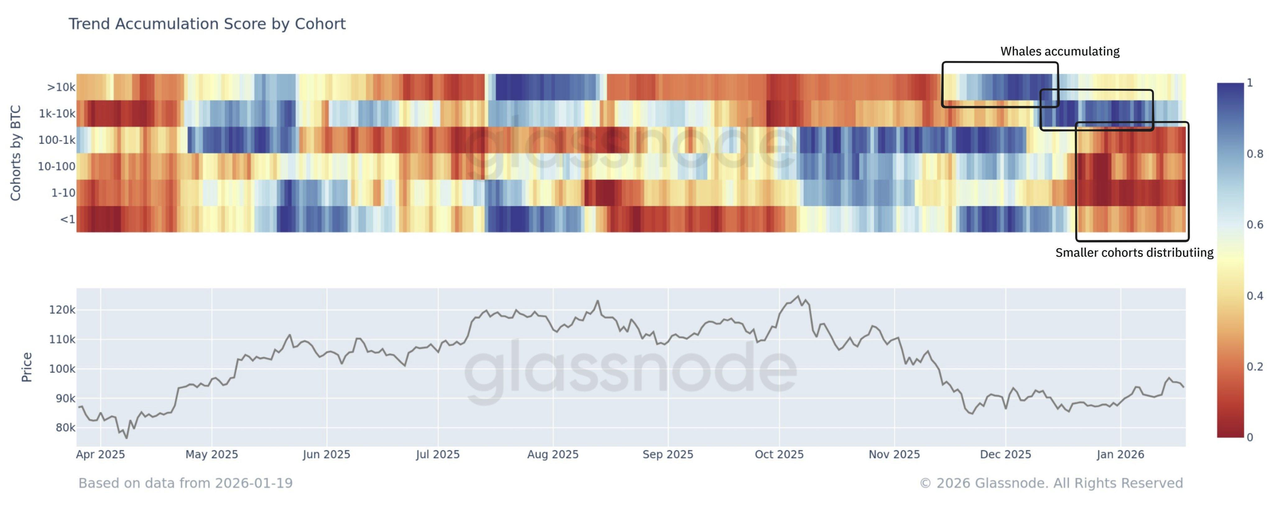 Bitcoin Bottoming Phase Was Driven By Large Entities, Glassnode Data Shows image 1