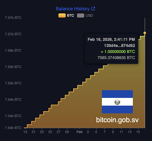 السلفادور تشتري المزيد من البيتكوين في ظل تراجع السوق، وهي تمتلك الآن 7,565 بيتكوين