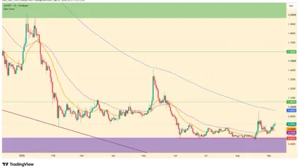 SUI Price Eyes $1.60 as Buybacks Cross 600K