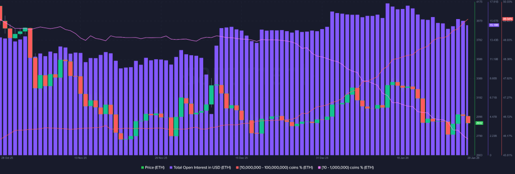 O mercado cripto hoje fica no vermelho, mas dados de LTH indicam estabilidade estrutural
