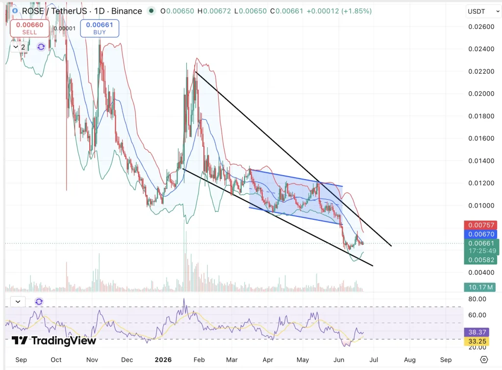 Oasis Network Price Prediction 2026, 2027 – 2030: Will ROSE Price Go Up?