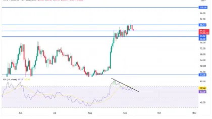 HYPE burn reaches $1.32M as Hyperliquid whales accumulate: Is $100 within reach?