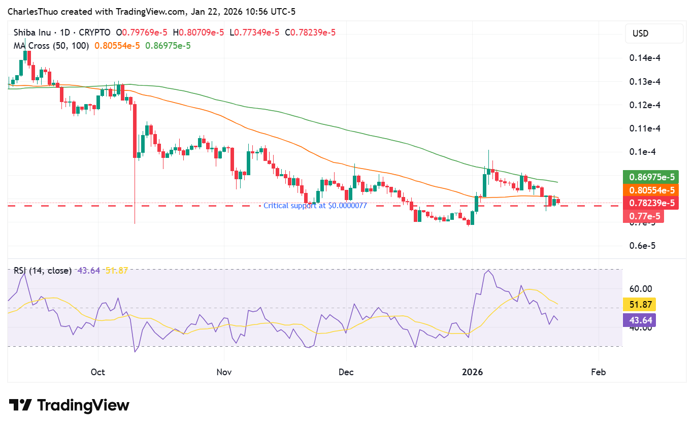 Shiba Inu faces critical support amid modest rally prospects image 1