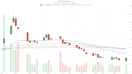 Space Exploration Technologies stock: Can the bounce survive earnings and $330 calls?