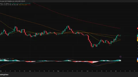 Solana price remains on recovery path as on-chain activity reaches new high