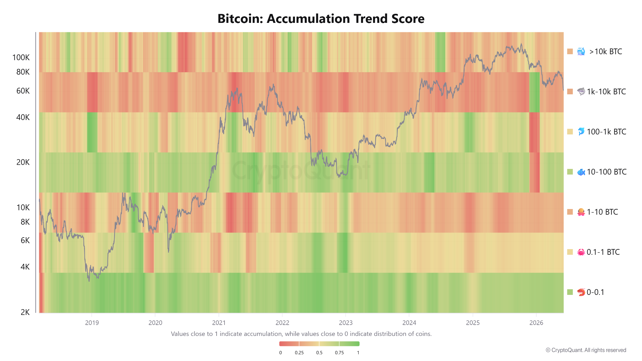 'Best thesis' for Bitcoin accumulation surfaces despite current downside risk: Analyst