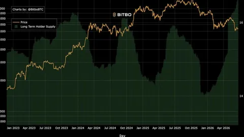 2026 not the same as 2024 because long-term Bitcoin holders are ‘doing the opposite’