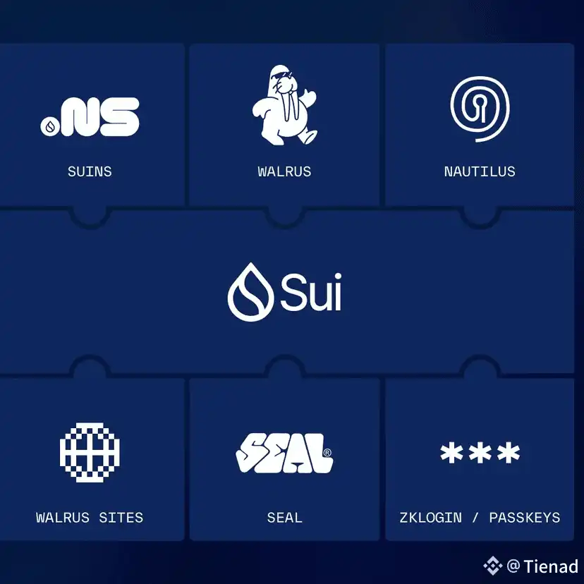 在八角笼里活下来的 Sui ，从一条公链，变成了一个平台 image 3
