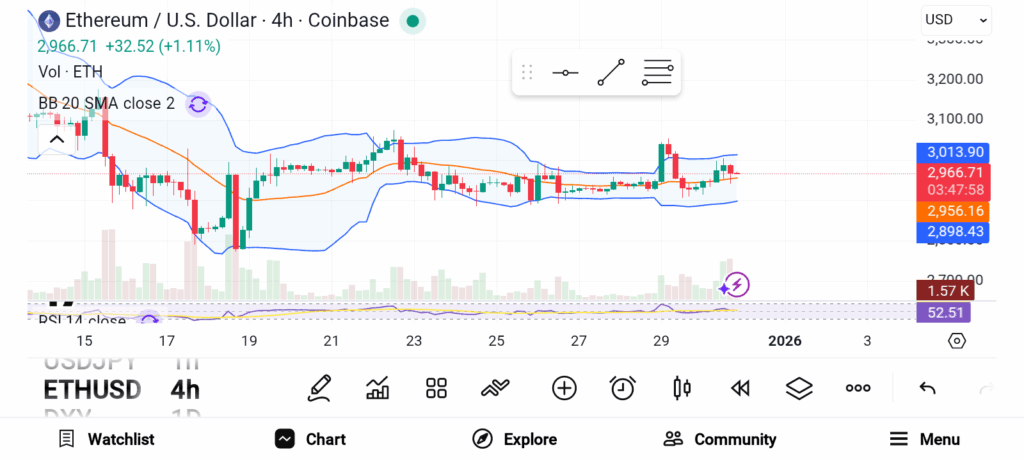 3 Promising Cryptos Smart Investors Are Accumulating for January 2026 image 1
