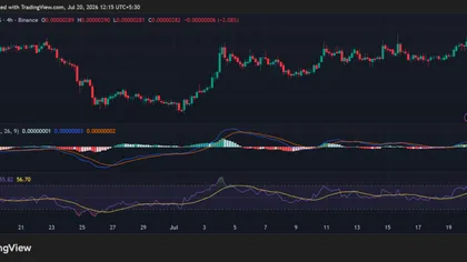 PEPE Eyes a Golden Cross: Can Bulls Smash the $0.0000030 Resistance?
post-164484
post-164484
post-164484