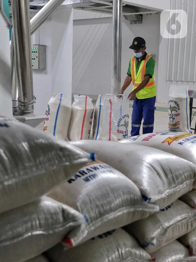Hama Masuk ke Permukiman, Bulog Fumigasi Gudang Beras image 4